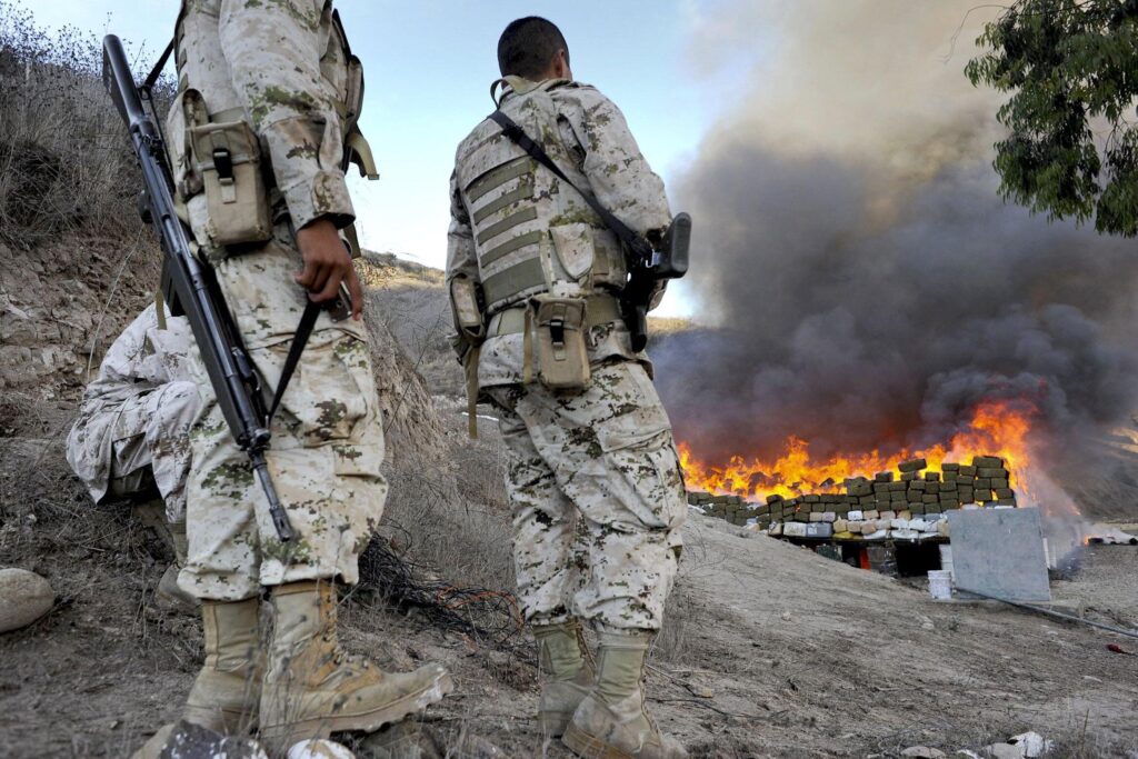 Beranda Kartel Narkoba