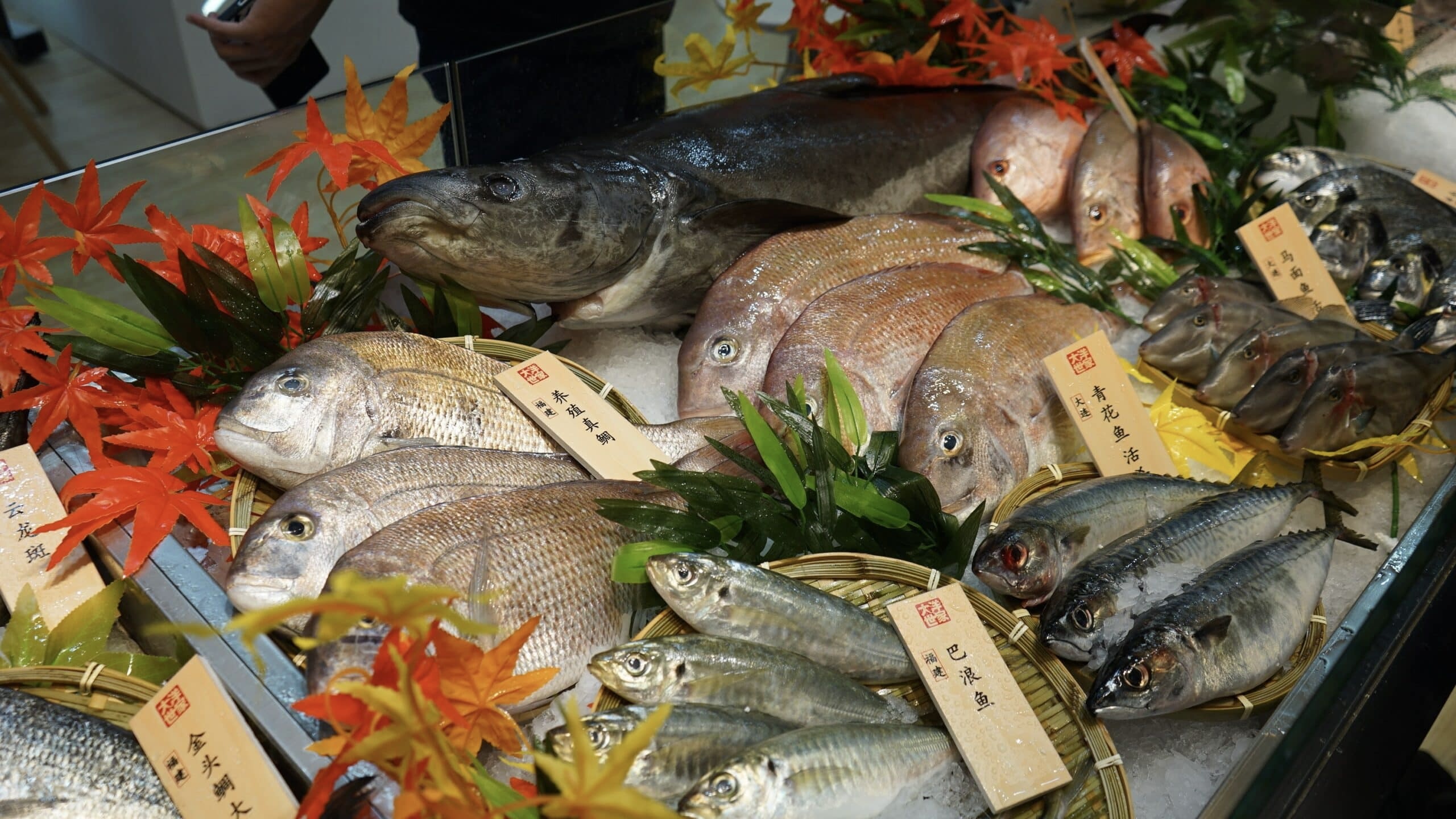 Impor Seafood Jepang Dihentikan Tiongkok Secara Mendadak